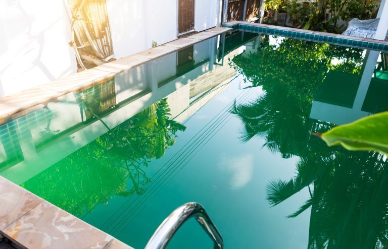 eau de piscine verte remède de grand-mère