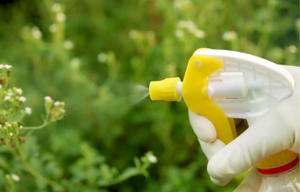 bienfaits vinaigre blanc jardin