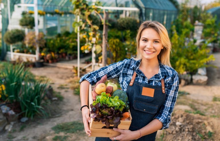 que semer ou planter en octobre au potager