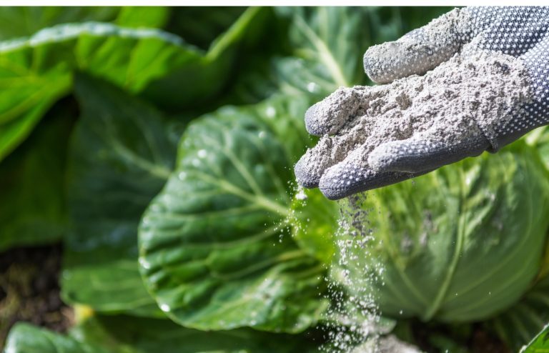 comment utiliser cendre de bois jardin