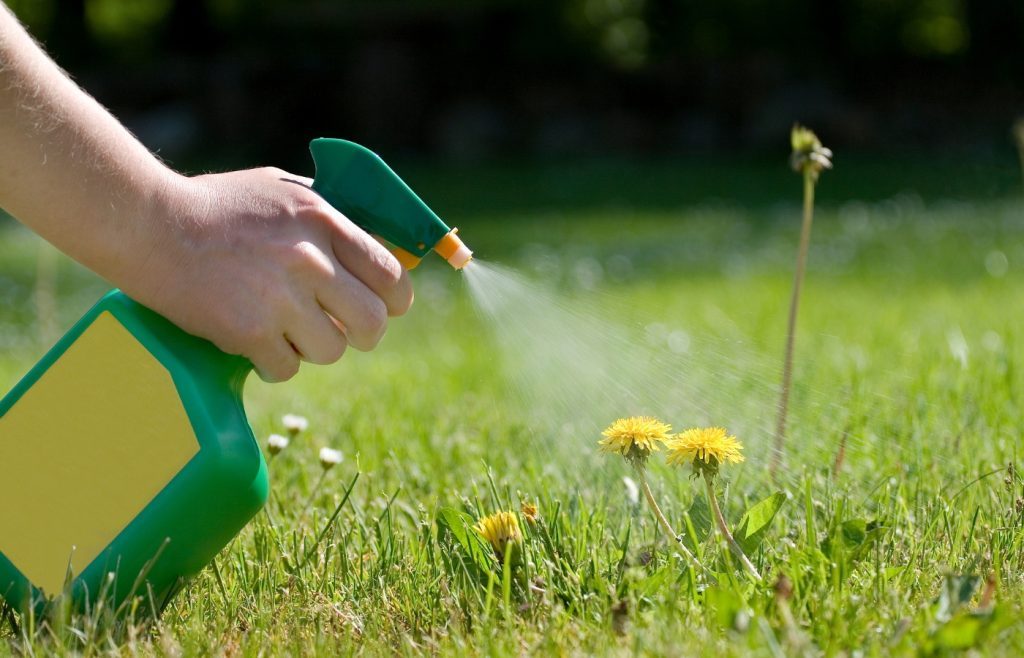 spray mauvaises herbes