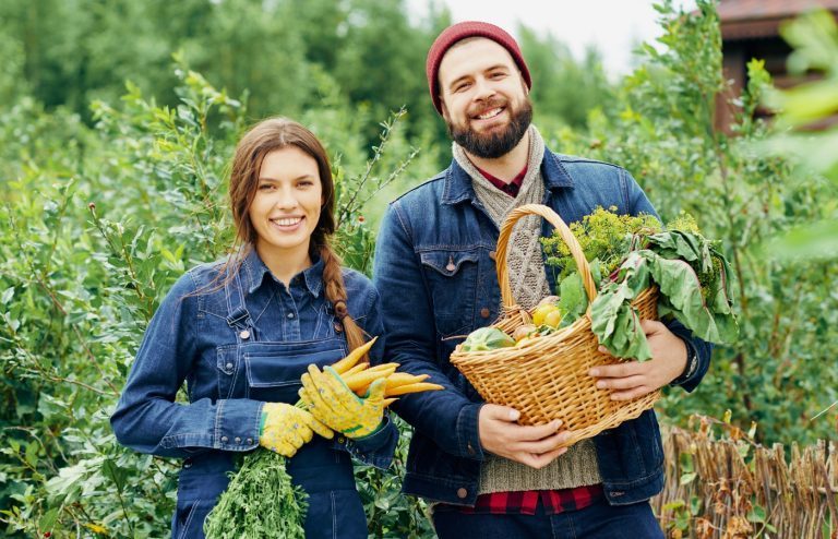 potager d'hiver que planter
