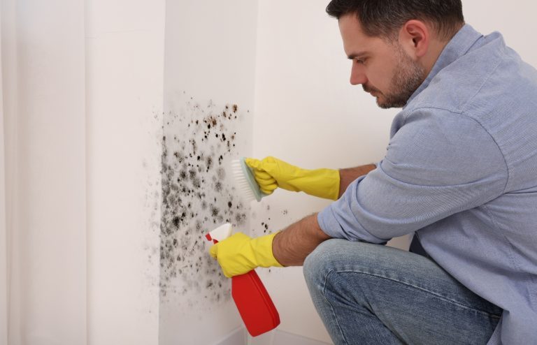 comment nettoyer de la moisissure sur un mur