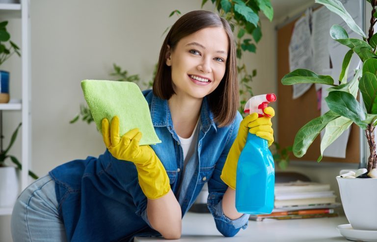astuce poussière meubles maison