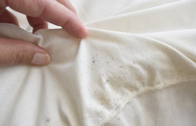 comment enlever de la moisissure sur du tissu