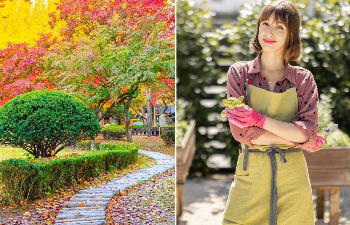 que planter en novembre au potager ou dans son jardin