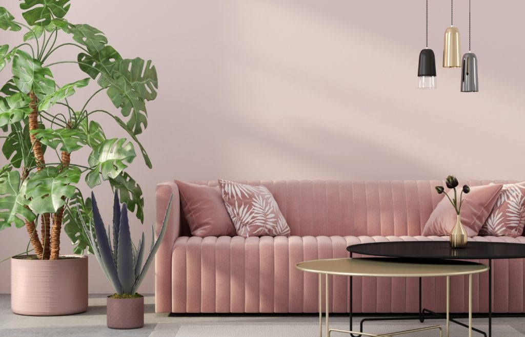 comment nettoyer un canapé en velours