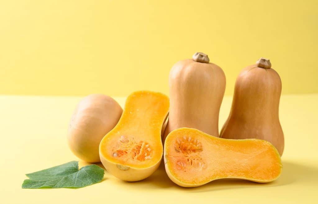 courge butternut potager