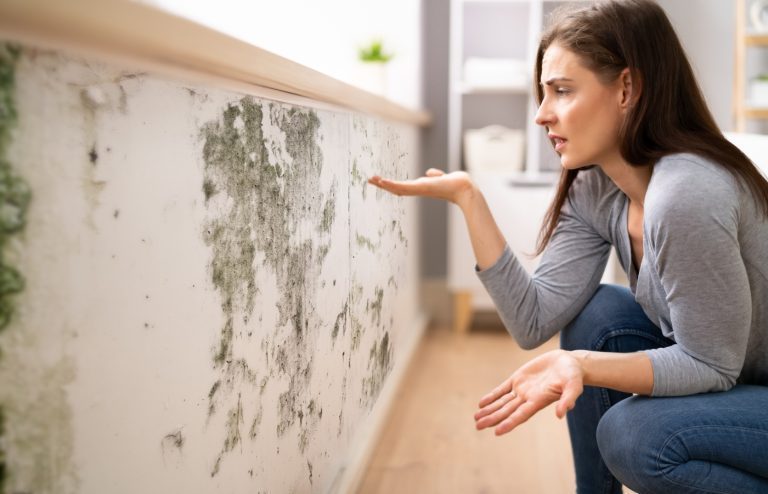 quel taux d'humidité respecter dans une chambre pour éviter les moisissures