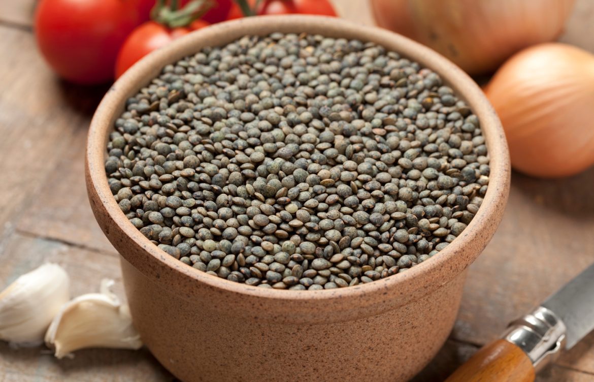 quand planter lentilles