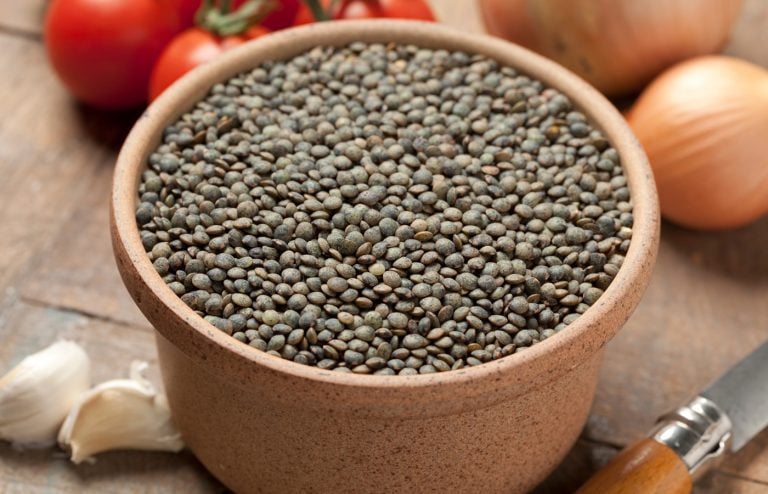 quand planter lentilles