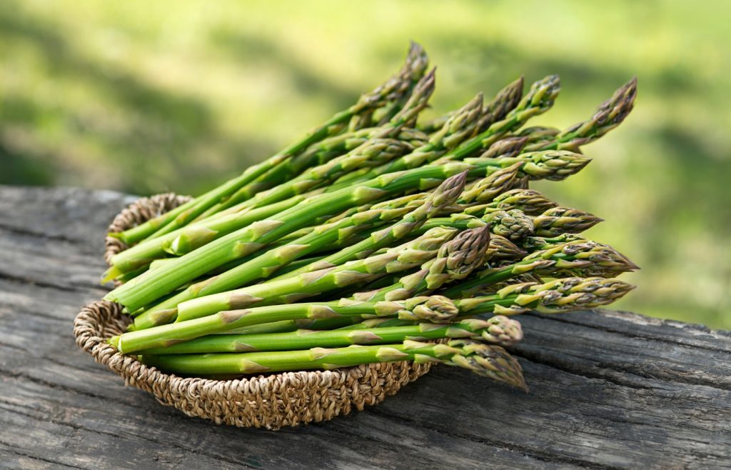 récolte asperges potager
