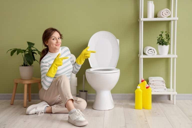 nettoyer cuvette wc très entartrée