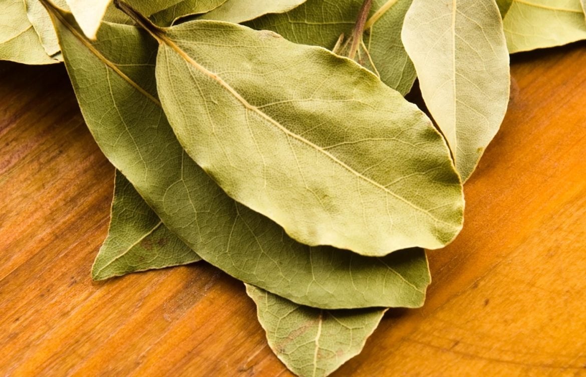placer des feuilles de laurier dans les coins de votre maison