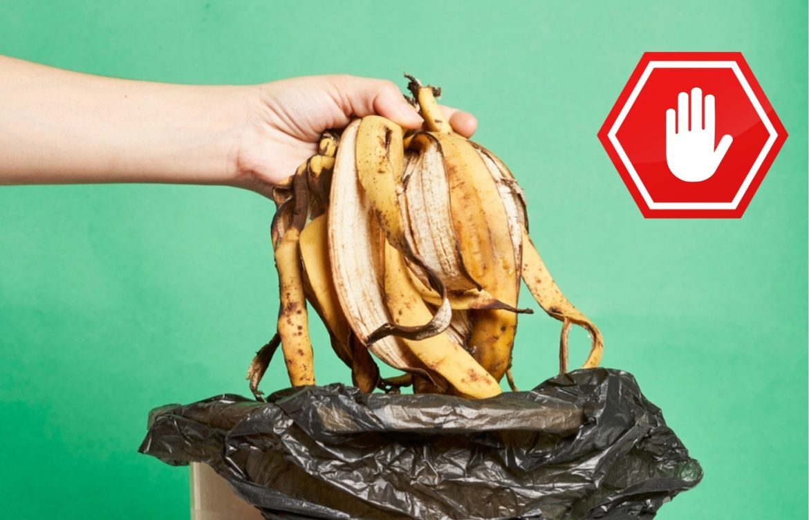comment réutiliser peaux de banane