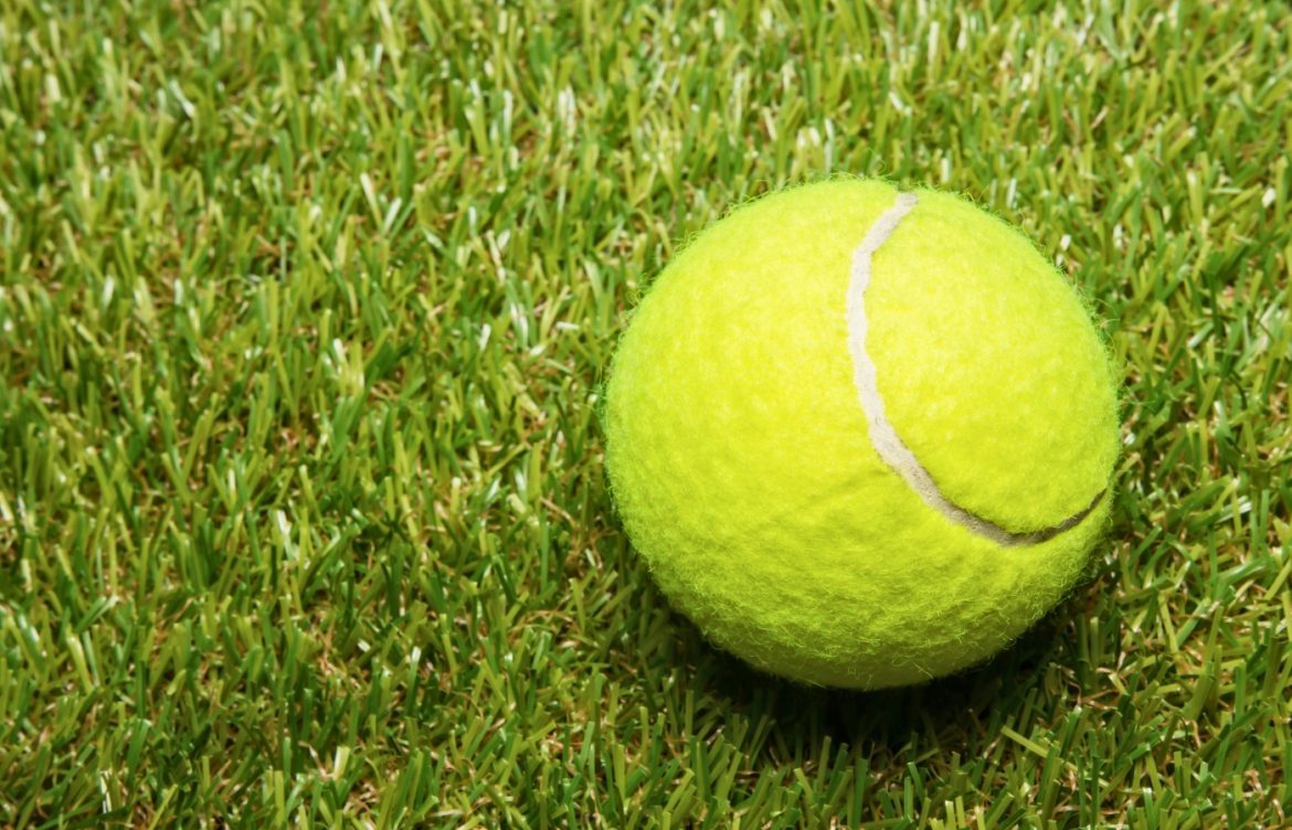 balle de tennis jardin
