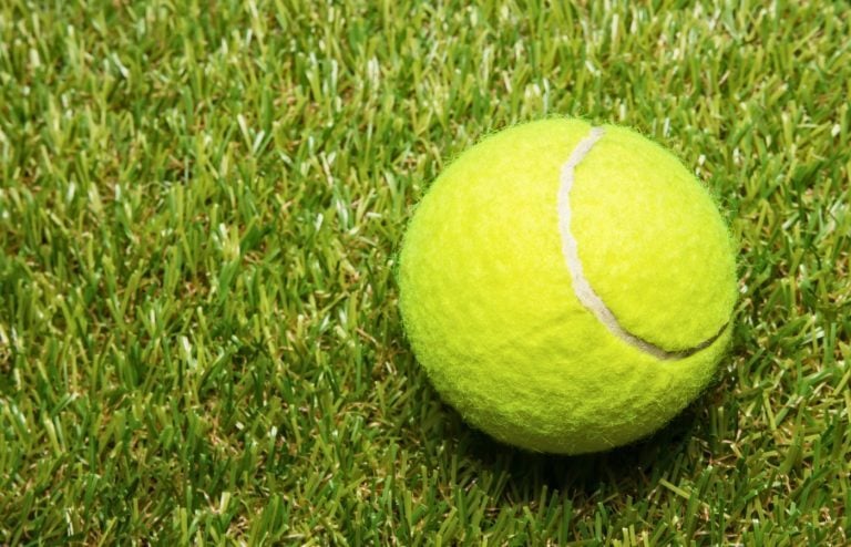 balle de tennis jardin
