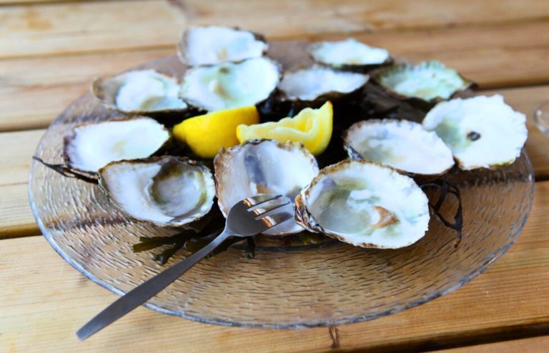 comment réutiliser coquilles huitres et escargots