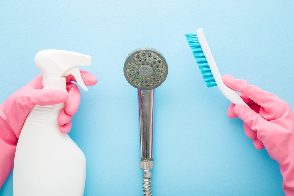 astuces contre calcaire pommeau douche