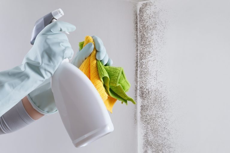 spray contre les moisissures