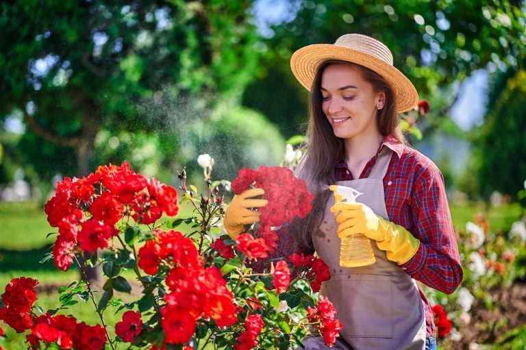 comment utiliser le savon noir dans son jardin