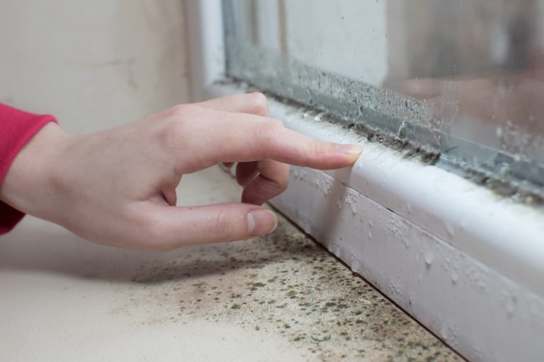température minimale pour éviter l'humidité