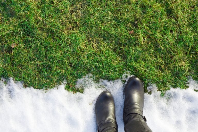 erreur pelouse hiver