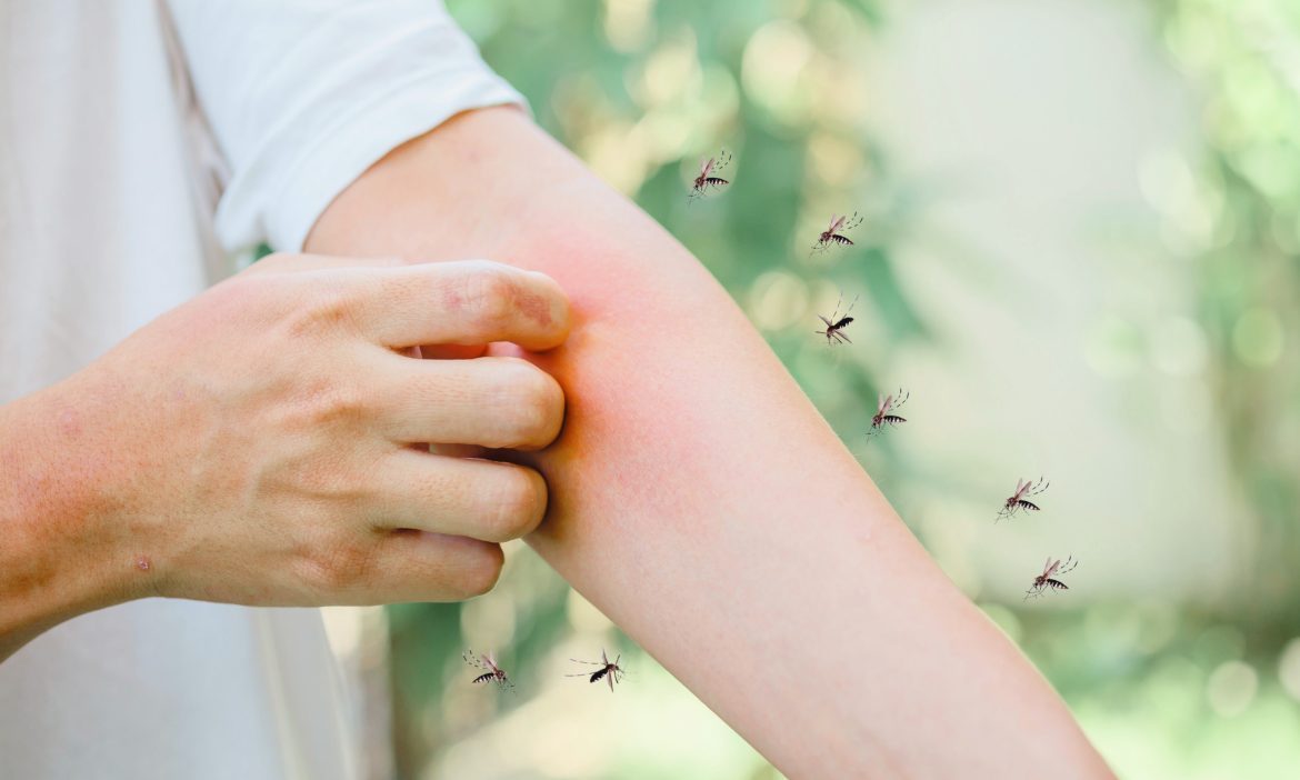 lutter contre les moustiques