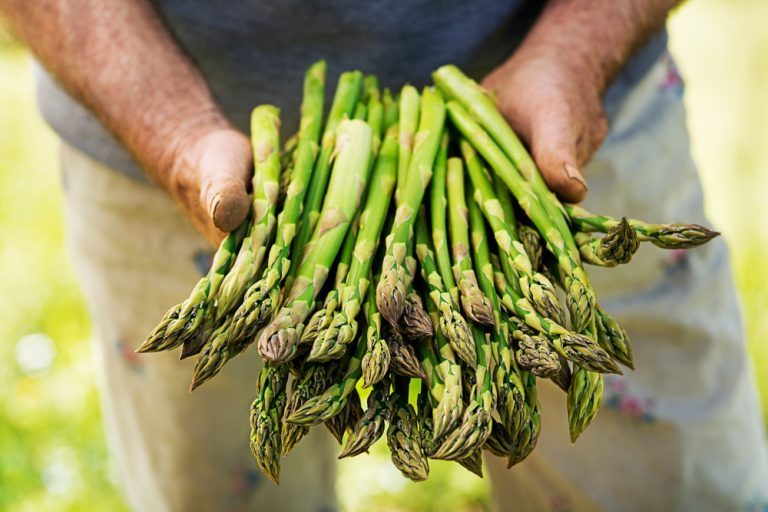 faire pousser asperges