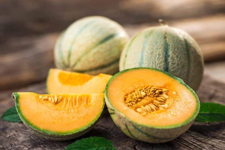 faire pousser melons
