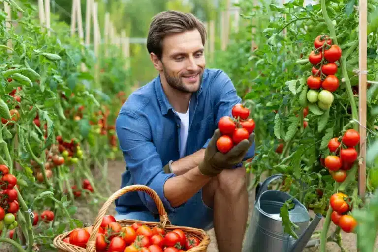 3 legumes a planter potager d'été