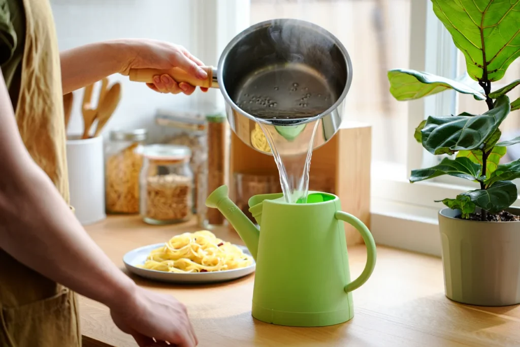 ne jetez plus eau de cuisson de vos pates
