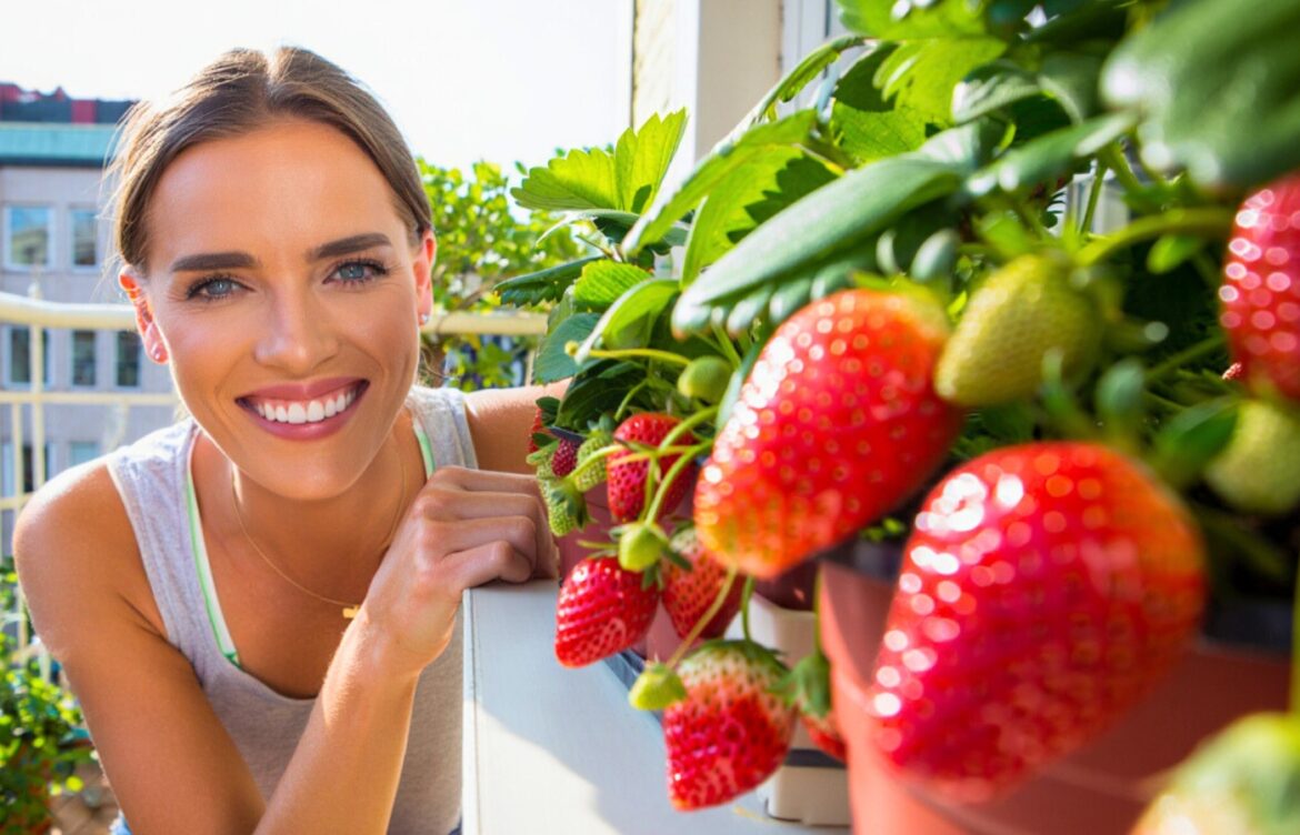 moment idéal planter fraisier