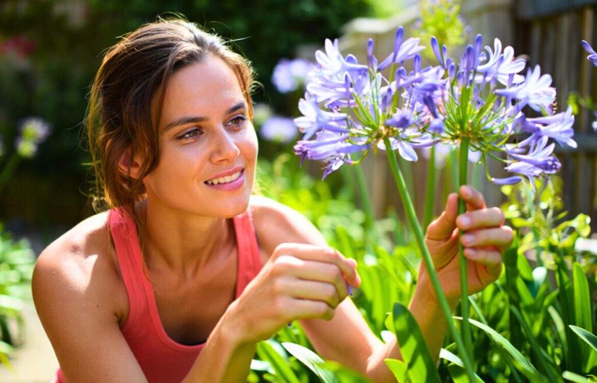 geste à faire pour floraison agapanthes