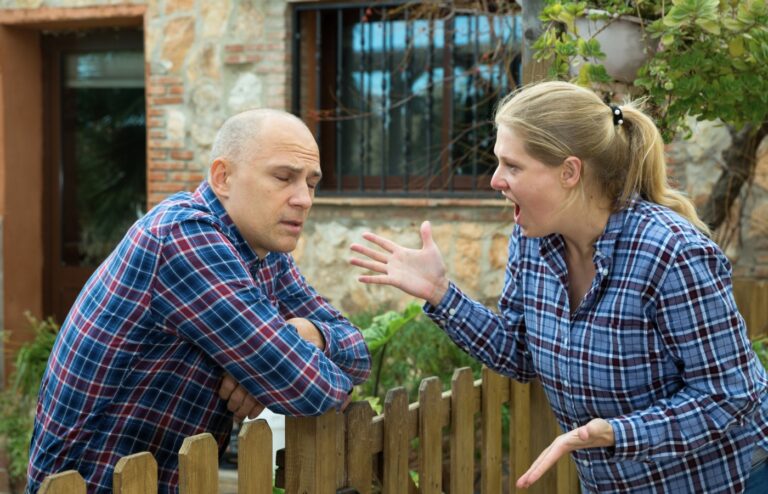 bambous conflit voisinage