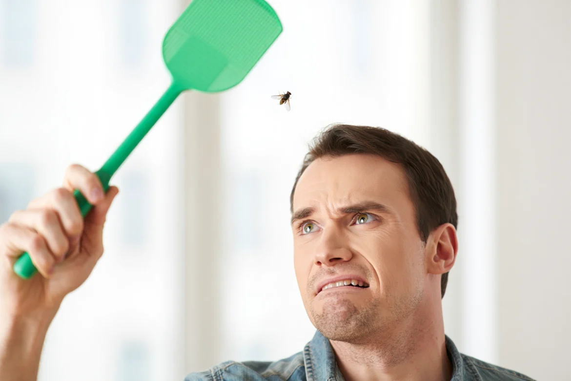 13 répulsifs naturels contre les mouches