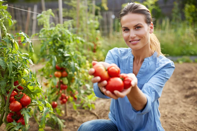 méthode ancestrale sauve potager canicule