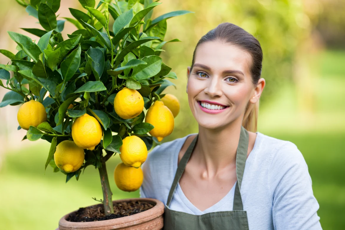 booster production de citrons