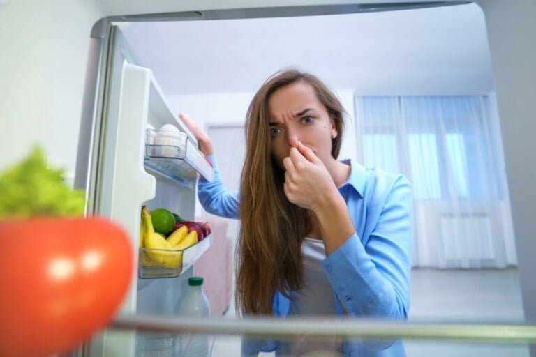 ras le bol frigo qui pue