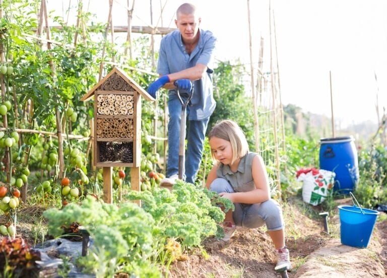 Eviter légumes amers potager
