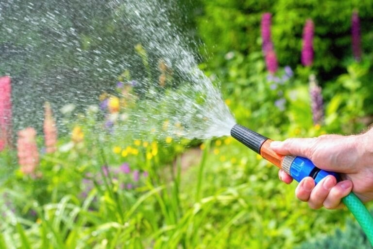 garder jardin vert