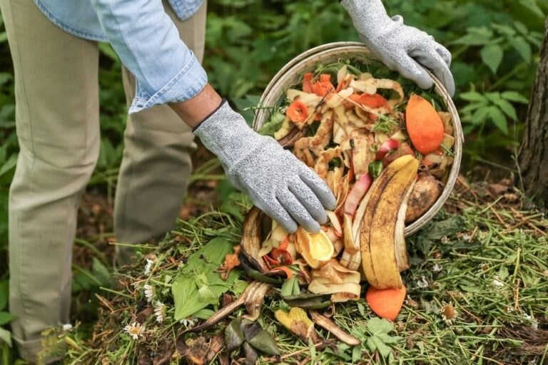épluchures booster potager