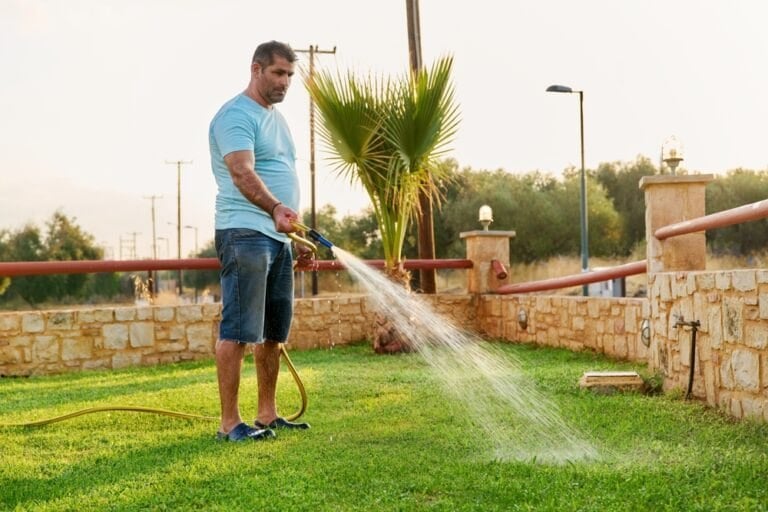 Astuces arrosage gazon