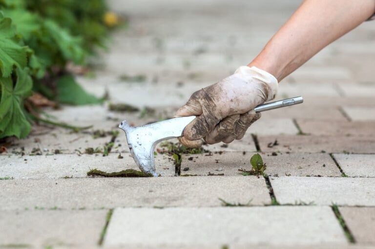 Technique désherbage paysagiste efficace