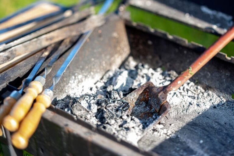 Utilisation cendres barbecue au jardin