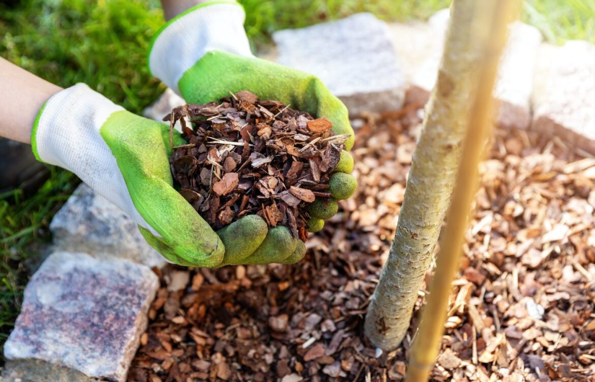 Paillages anti mauvaises herbes efficaces