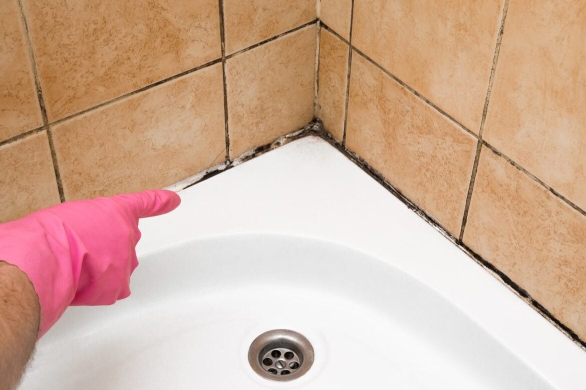 Astuces nettoyage joints de douche noircis