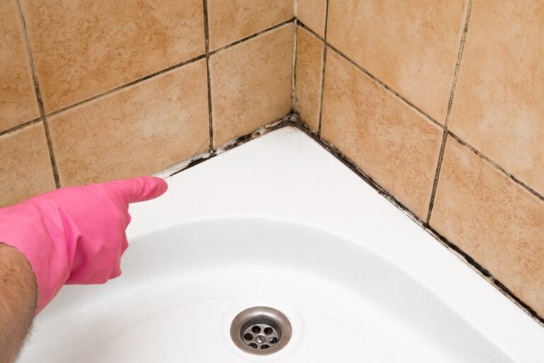Astuces nettoyage joints de douche noircis