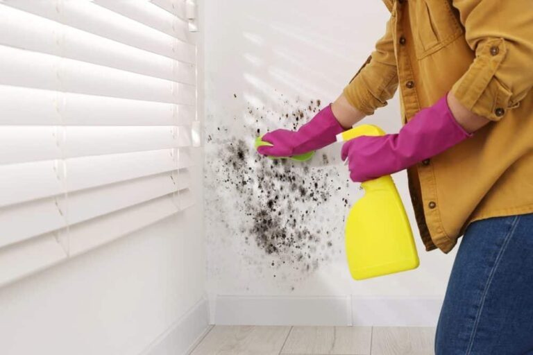 Solutions maison contre moisissure