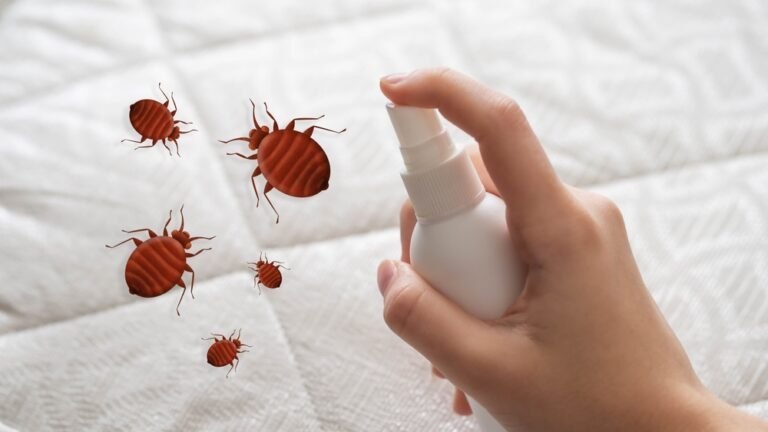 mites de poussière